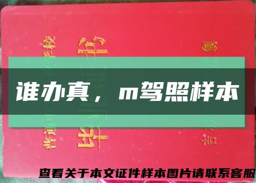 誰辦真，m駕照樣本縮略圖