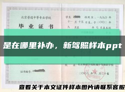 是在哪里補辦，新駕照樣本ppt縮略圖