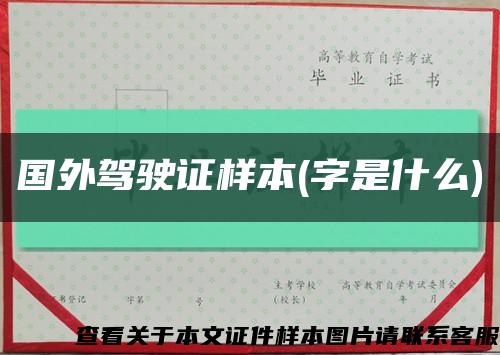 國外駕駛證樣本(字是什么)縮略圖