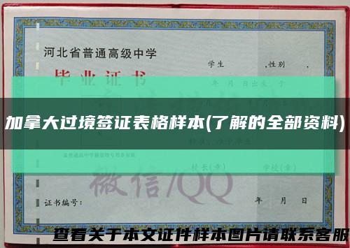 加拿大過境簽證表格樣本(了解的全部資料)縮略圖