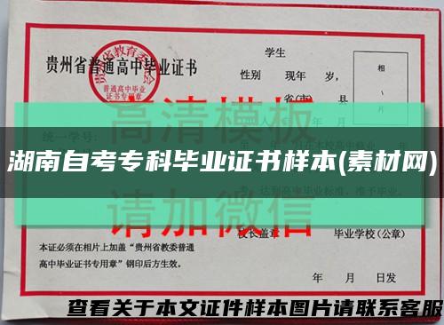 湖南自考?？飘厴I證書樣本(素材網)縮略圖