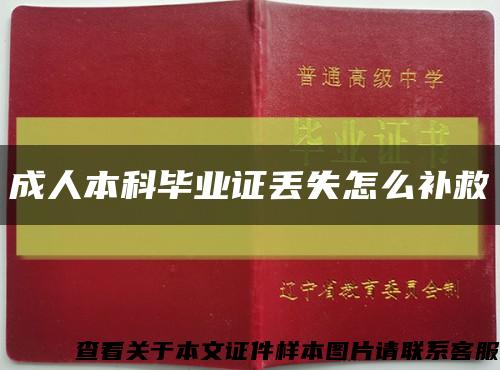 成人本科畢業證丟失怎么補救縮略圖
