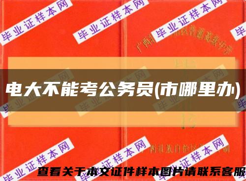 電大不能考公務員(市哪里辦)縮略圖