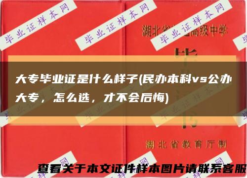 大專畢業證是什么樣子(民辦本科vs公辦大專，怎么選，才不會后悔)縮略圖
