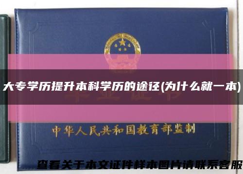 大專學歷提升本科學歷的途徑(為什么就一本)縮略圖