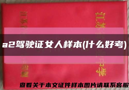 a2駕駛證女人樣本(什么好考)縮略圖