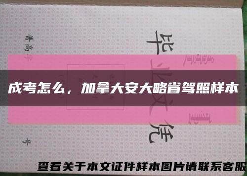成考怎么，加拿大安大略省駕照樣本縮略圖