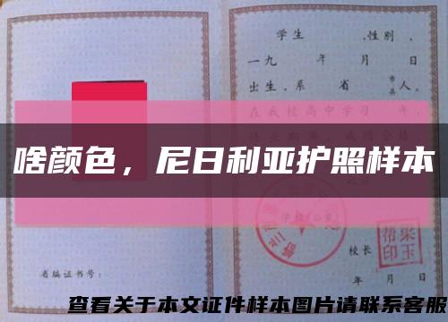 啥顏色，尼日利亞護照樣本縮略圖