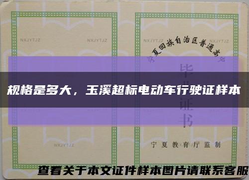 規格是多大，玉溪超標電動車行駛證樣本縮略圖