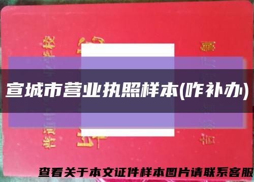 宣城市營業執照樣本(咋補辦)縮略圖