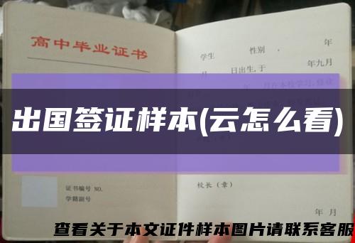 出國簽證樣本(云怎么看)縮略圖