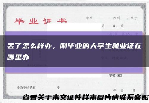 丟了怎么樣辦，剛畢業的大學生就業證在哪里辦縮略圖