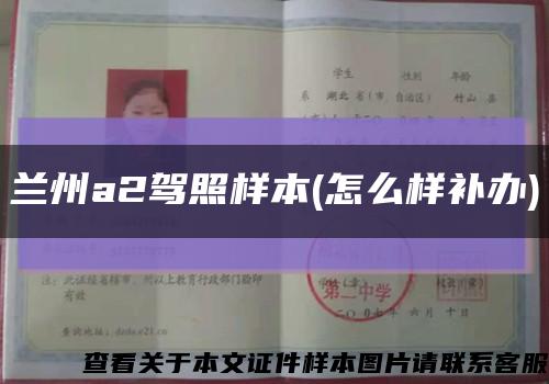 蘭州a2駕照樣本(怎么樣補辦)縮略圖