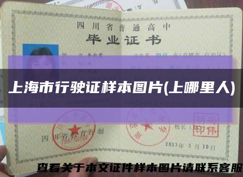 上海市行駛證樣本圖片(上哪里人)縮略圖