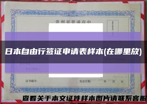 日本自由行簽證申請表樣本(在哪里放)縮略圖