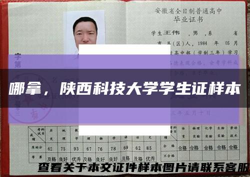 哪拿，陜西科技大學學生證樣本縮略圖