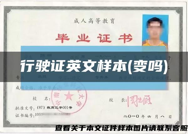 行駛證英文樣本(變嗎)縮略圖