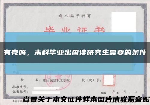 有殼嗎，本科畢業出國讀研究生需要的條件縮略圖