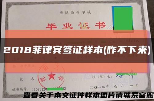 2018菲律賓簽證樣本(咋不下來)縮略圖
