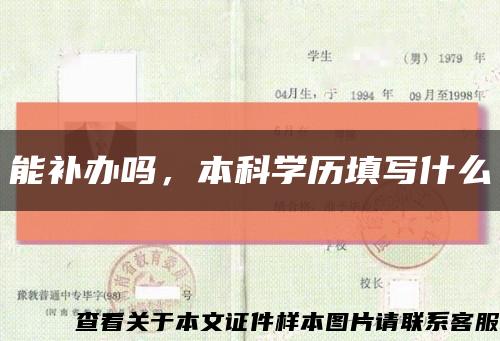 能補辦嗎，本科學歷填寫什么縮略圖