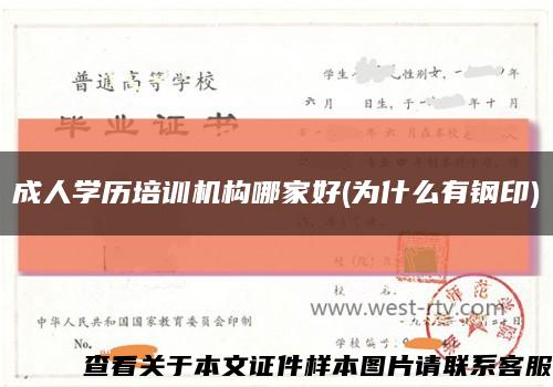成人學歷培訓機構哪家好(為什么有鋼印)縮略圖