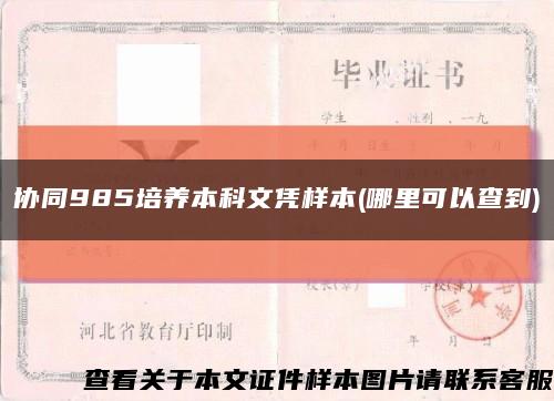 協同985培養本科文憑樣本(哪里可以查到)縮略圖