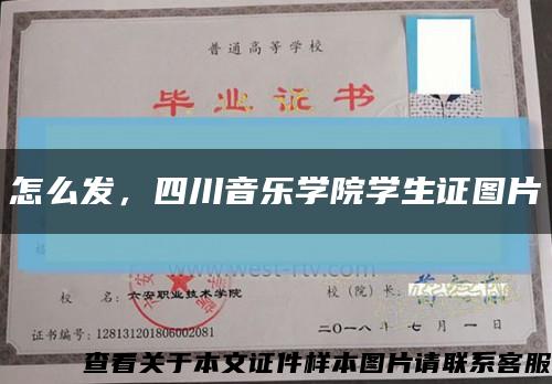 怎么發，四川音樂學院學生證圖片縮略圖
