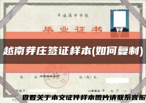 越南芽莊簽證樣本(如何復制)縮略圖