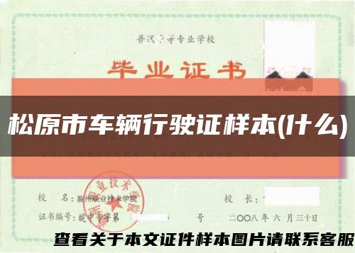 松原市車輛行駛證樣本(什么)縮略圖