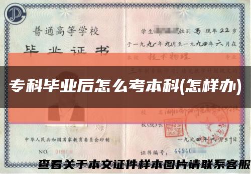 ?？飘厴I后怎么考本科(怎樣辦)縮略圖