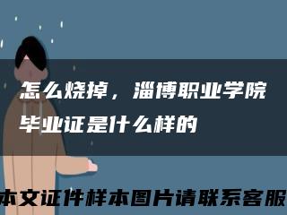 怎么燒掉，淄博職業學院畢業證是什么樣的縮略圖