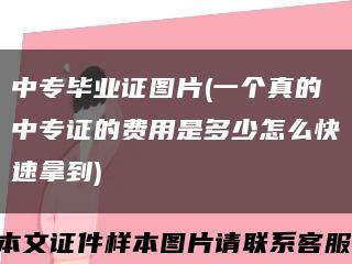 中專畢業證圖片(一個真的中專證的費用是多少怎么快速拿到)縮略圖