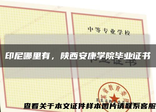印尼哪里有，陜西安康學院畢業證書縮略圖