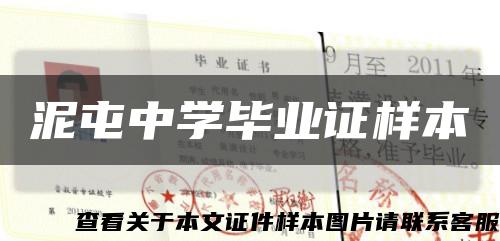 泥屯中學畢業證樣本縮略圖