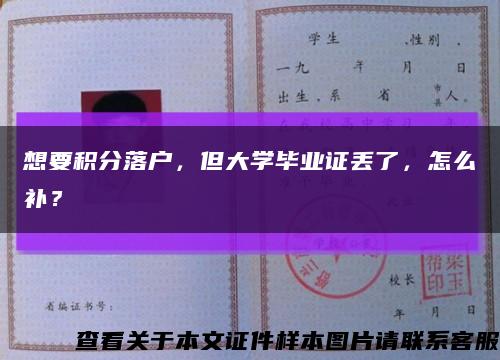 想要積分落戶，但大學畢業證丟了，怎么補？縮略圖