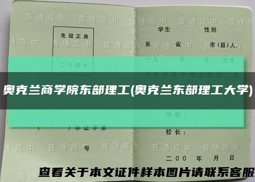 奧克蘭商學院東部理工(奧克蘭東部理工大學)縮略圖