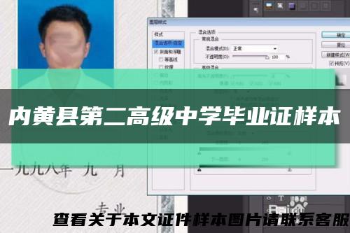 內黃縣第二高級中學畢業證樣本縮略圖