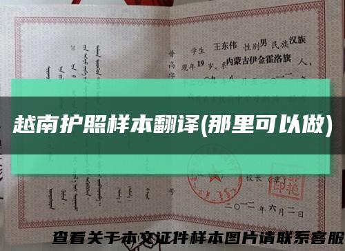 越南護照樣本翻譯(那里可以做)縮略圖