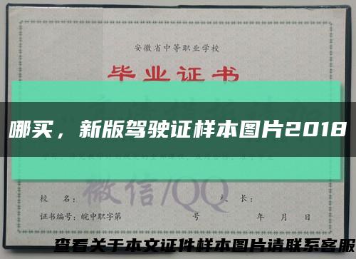 哪買，新版駕駛證樣本圖片2018縮略圖