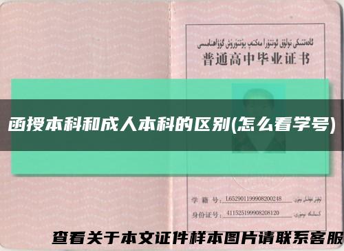 函授本科和成人本科的區別(怎么看學號)縮略圖