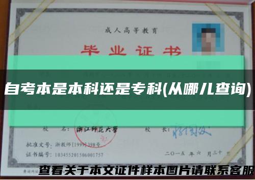 自考本是本科還是?？?從哪兒查詢)縮略圖