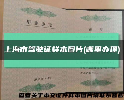 上海市駕駛證樣本圖片(哪里辦理)縮略圖