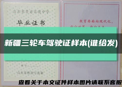 新疆三輪車駕駛證樣本(誰給發)縮略圖