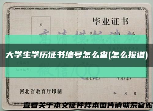 大學生學歷證書編號怎么查(怎么報道)縮略圖