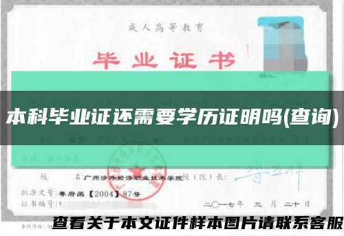 本科畢業證還需要學歷證明嗎(查詢)縮略圖