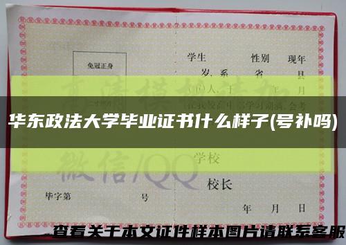 華東政法大學畢業證書什么樣子(號補嗎)縮略圖