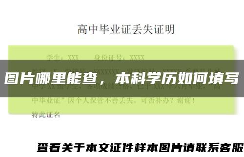 圖片哪里能查，本科學歷如何填寫縮略圖