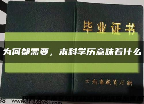 為何都需要，本科學歷意味著什么縮略圖