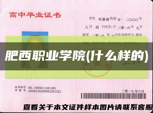 肥西職業學院(什么樣的)縮略圖