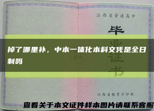 掉了哪里補，中本一體化本科文憑是全日制嗎縮略圖